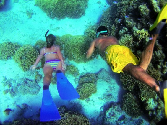 Paul Gauguin Cruises picture of a couple snorkeling on a Cruise